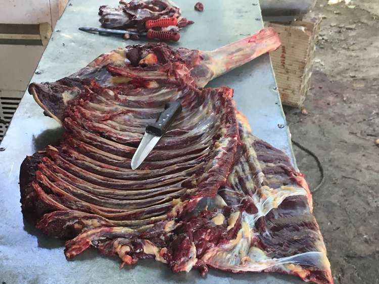 کشف محل کشتار غیر مجاز دام  در شهرستان مرند